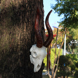 Maxbell Skull Sheep Head Wall Sculpture for Home Decor Gift 3D Wall Hanging Ornament Style B