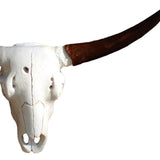 Maxbell Skull Animal Head Wall Sculpture Faux Animal Skull Wall Sculpture for Office Bull