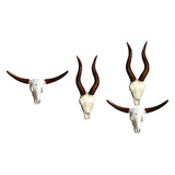 Maxbell Skull Animal Head Wall Sculpture Faux Animal Skull Wall Sculpture for Office Bull