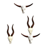 Maxbell Skull Animal Head Wall Sculpture Faux Animal Skull Wall Sculpture for Office Bull