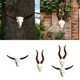Maxbell Skull Animal Head Wall Sculpture Faux Animal Skull Wall Sculpture for Office Bull