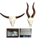 Maxbell Skull Animal Head Wall Sculpture Faux Animal Skull Wall Sculpture for Office Bull