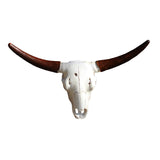 Maxbell Skull Animal Head Wall Sculpture Faux Animal Skull Wall Sculpture for Office Bull