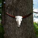 Maxbell Skull Animal Head Wall Sculpture Faux Animal Skull Wall Sculpture for Office Bull