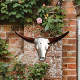 Maxbell Skull Animal Head Wall Sculpture Faux Animal Skull Wall Sculpture for Office Bull