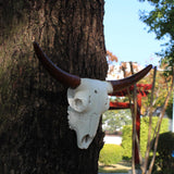 Maxbell Skull Animal Head Wall Sculpture Faux Animal Skull Wall Sculpture for Office Bull