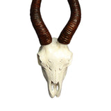 Maxbell Skull Animal Head Wall Sculpture Faux Animal Skull Wall Sculpture for Office Sheep