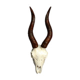Maxbell Skull Animal Head Wall Sculpture Faux Animal Skull Wall Sculpture for Office Sheep