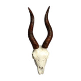 Maxbell Skull Animal Head Wall Sculpture Faux Animal Skull Wall Sculpture for Office Sheep