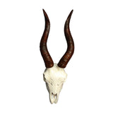 Maxbell Skull Animal Head Wall Sculpture Faux Animal Skull Wall Sculpture for Office Sheep