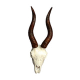 Maxbell Skull Animal Head Wall Sculpture Faux Animal Skull Wall Sculpture for Office Sheep