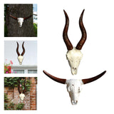 Maxbell Skull Animal Head Wall Sculpture Faux Animal Skull Wall Sculpture for Office Bull and Sheep