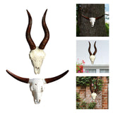 Maxbell Skull Animal Head Wall Sculpture Faux Animal Skull Wall Sculpture for Office Bull and Sheep