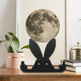 Maxbell Funny Middle Finger Black Rabbit Ornament Unique for Garden Bookshelf Window