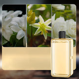 Maxbell Diffuser Essential Oil Fragrance Oil 50ml Hotel Family Friend Gift Aroma Oil Orange