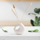 Maxbell Ceramic Geometric Flower Vase Abstract Vase Entryway Decors Plant Pot Holder Style C