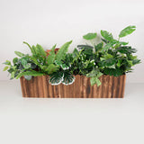 Maxbell Wooden Flower Pot Rectangular Balcony Accessories Planter for Desktop Window