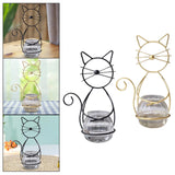 Maxbell Hydroponic Plant Vase with Cat Metal Holder for Home Bonsai Decor Desk Decor Black