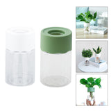 Maxbell Hydroponic Flower Vase Display Planter Bud Vase for Home Living Room Country White