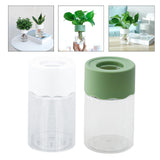 Maxbell Hydroponic Flower Vase Display Planter Bud Vase for Home Living Room Country White
