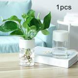 Maxbell Hydroponic Flower Vase Display Planter Bud Vase for Home Living Room Country White