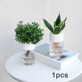 Maxbell Hydroponic Flower Vase Display Planter Bud Vase for Home Living Room Country White