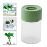 Maxbell Hydroponic Flower Vase Display Planter Bud Vase for Home Living Room Country Green
