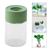 Maxbell Hydroponic Flower Vase Display Planter Bud Vase for Home Living Room Country Green