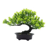 Maxbell Artificial Bonsai Tree Fake Bonsai Tree for Living Room Yard Desktop Display Green