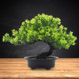 Maxbell Artificial Bonsai Tree Fake Bonsai Tree for Living Room Yard Desktop Display Green