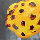 Maxbell Wall Hook Towel Hook Wall Hanger Wall Mounted Key Holder for Bag Robe Closet Giraffe