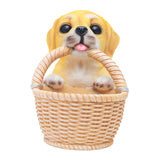 Maxbell Small Flower Pot Cute Gift Plant Planter for Indoor Home Decor Entrance Hall dog