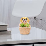 Maxbell Small Flower Pot Cute Gift Plant Planter for Indoor Home Decor Entrance Hall dog