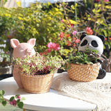 Maxbell Small Flower Pot Cute Tabletop Decoration for Bedroom Home Decor Room