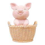 Maxbell Small Flower Pot Cute Tabletop Decoration for Bedroom Home Decor Room