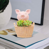 Maxbell Small Flower Pot Cute Tabletop Decoration for Bedroom Home Decor Room