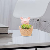 Maxbell Small Flower Pot Cute Tabletop Decoration for Bedroom Home Decor Room