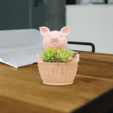 Maxbell Small Flower Pot Cute Tabletop Decoration for Bedroom Home Decor Room