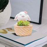 Maxbell Small Flower Pot Cute Gift Plant Planter for Indoor Home Decor Entrance Hall rabbit