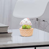 Maxbell Small Flower Pot Cute Gift Plant Planter for Indoor Home Decor Entrance Hall rabbit