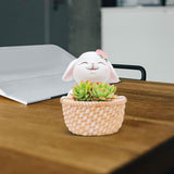 Maxbell Small Flower Pot Cute Gift Plant Planter for Indoor Home Decor Entrance Hall rabbit