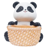 Maxbell Small Flower Pot Cute Gift Plant Planter for Indoor Home Decor Entrance Hall panda