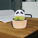 Maxbell Small Flower Pot Cute Gift Plant Planter for Indoor Home Decor Entrance Hall panda