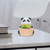 Maxbell Small Flower Pot Cute Gift Plant Planter for Indoor Home Decor Entrance Hall panda