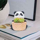 Maxbell Small Flower Pot Cute Gift Plant Planter for Indoor Home Decor Entrance Hall panda