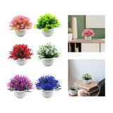 Maxbell Fake Plant in Pot Photo Props Faux Bonsai for Farmhouse Room Indoor Bedroom