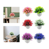 Maxbell Fake Plant in Pot Photo Props Faux Bonsai for Farmhouse Room Indoor Bedroom