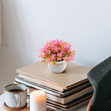 Maxbell Fake Plant in Pot Photo Props Faux Bonsai for Farmhouse Room Indoor Bedroom