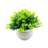 Maxbell Fake Plant in Pot Photo Props Faux Bonsai for Farmhouse Room Indoor Bedroom