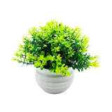 Maxbell Fake Plant in Pot Photo Props Faux Bonsai for Farmhouse Room Indoor Bedroom